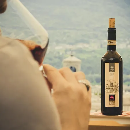 Holiday home Fontana Penthouse Varenna